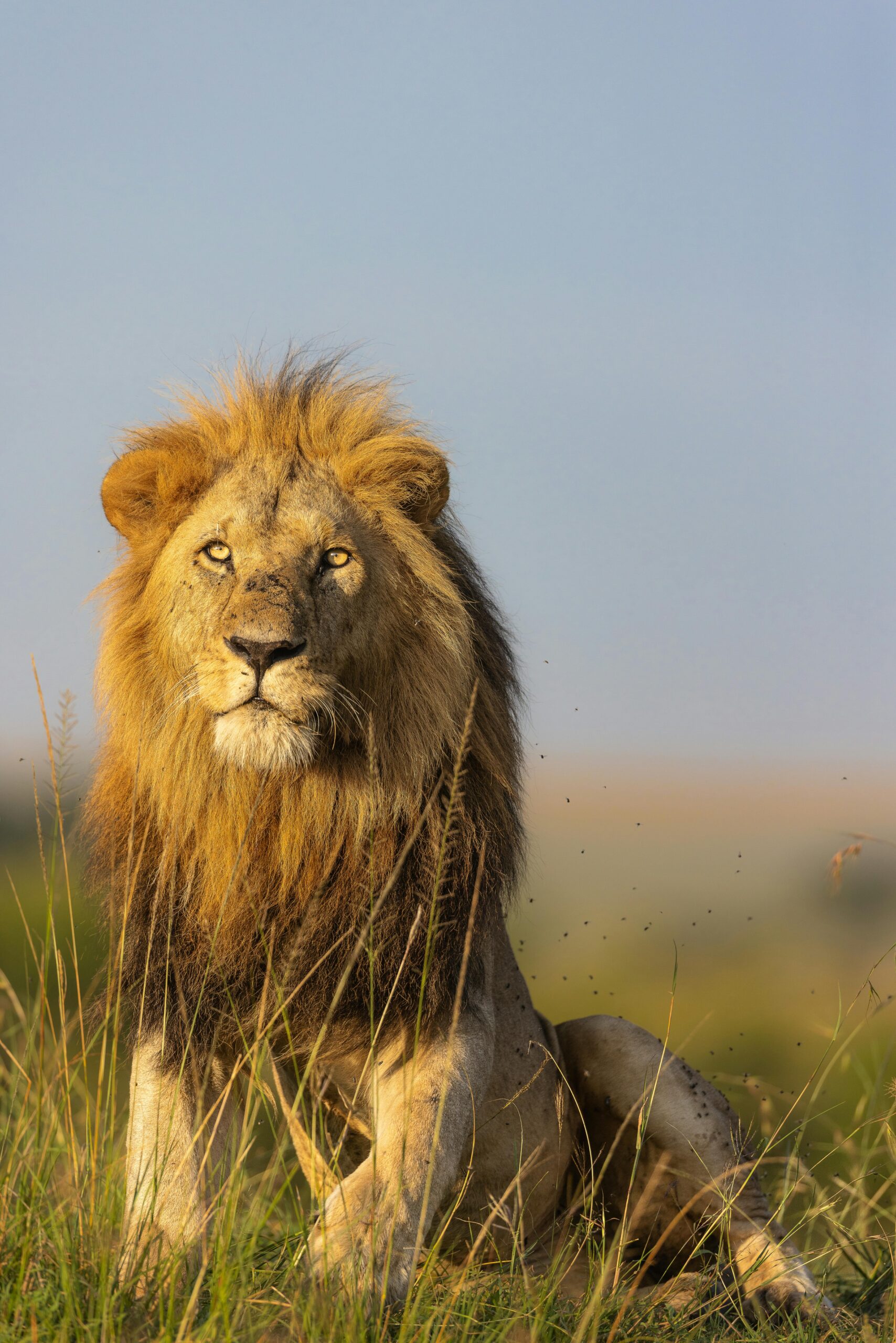 Kenya’s Booming Tourism